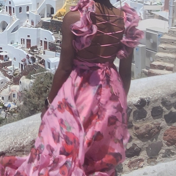 Georgia Organza Maxi Dress - Picture 6 of 6